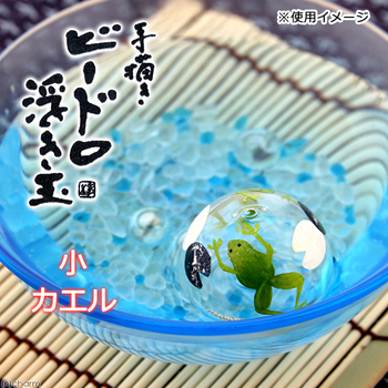 チャーム水草ブログ