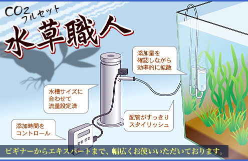 上級者はコレ ｃｏ２セットの決定版 チャーム水草ブログ